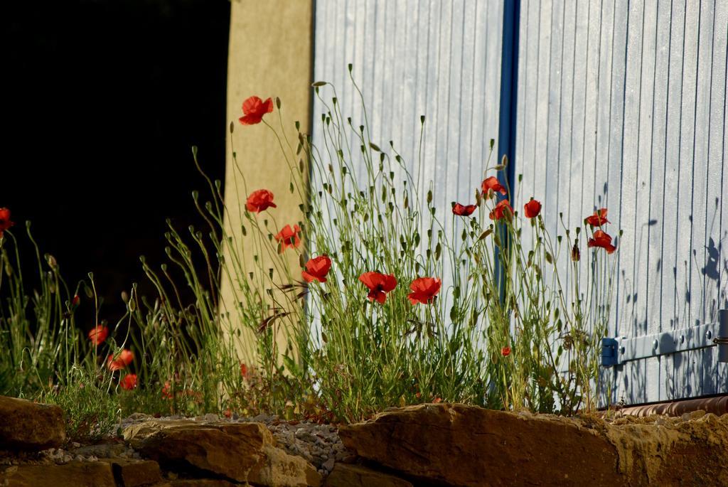 Mas Caipi La Cadiere D'Azur At My Luxury Home In Provence Exteriér fotografie